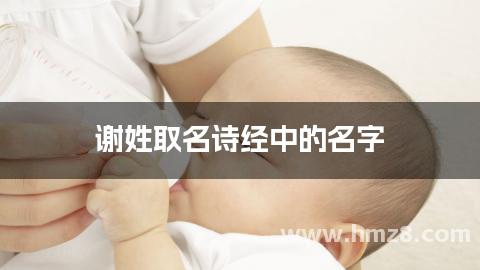 谢姓取名诗经中的名字
