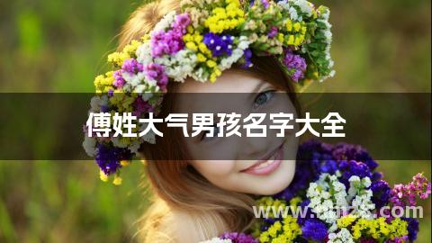 傅姓大气男孩名字大全