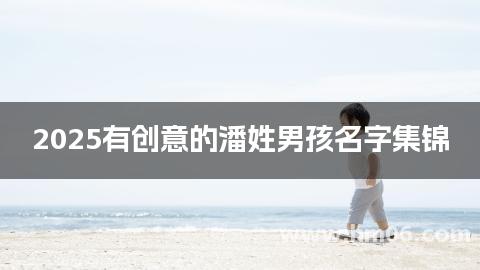 2025有创意的潘姓男孩名字集锦
