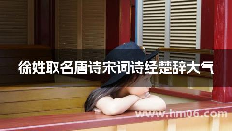 徐姓取名唐诗宋词诗经楚辞大气