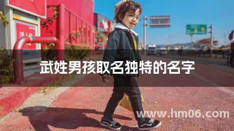 武姓男孩取名独特的名字