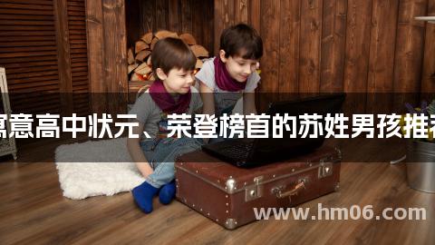 寓意高中状元、荣登榜首的苏姓男孩推荐