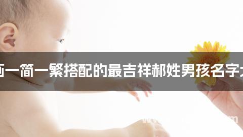 笔画一简一繁搭配的最吉祥郝姓男孩名字大全