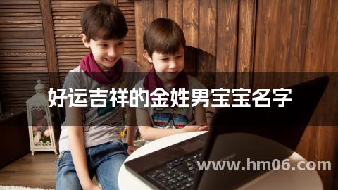 好运吉祥的金姓男宝宝名字