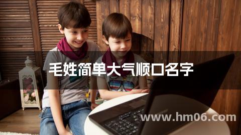 毛姓简单大气顺口名字