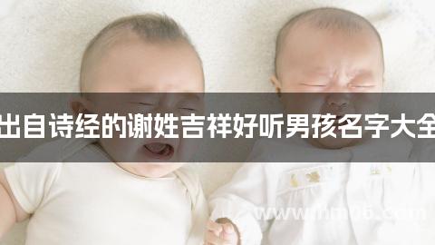 出自诗经的谢姓吉祥好听男孩名字大全