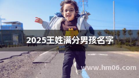 2025王姓满分男孩名字