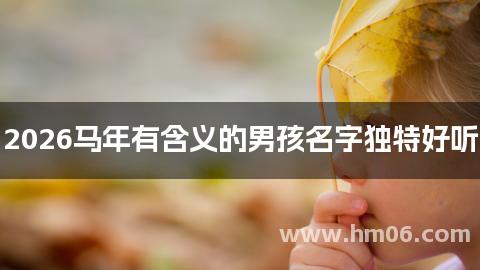2026马年有含义的男孩名字独特好听