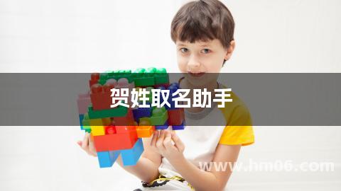 贺姓取名助手