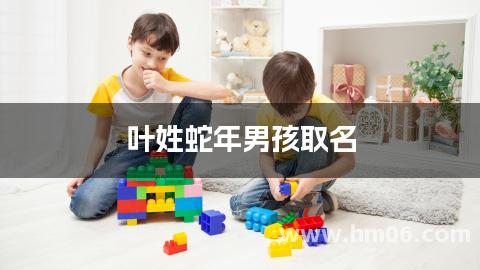 叶姓蛇年男孩取名