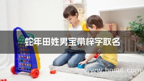 蛇年田姓男宝带梓字取名