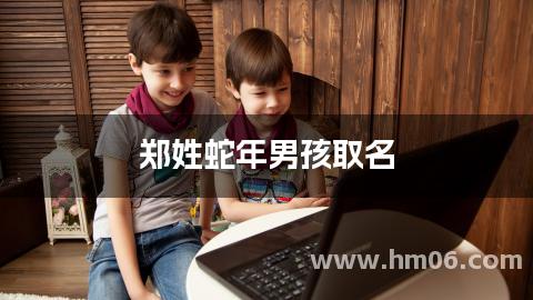 郑姓蛇年男孩取名