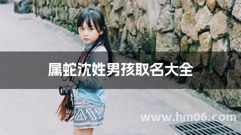 属蛇沈姓男孩取名大全