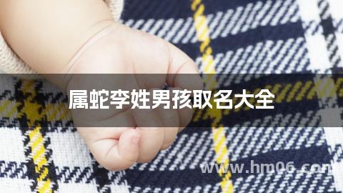 属蛇李姓男孩取名大全