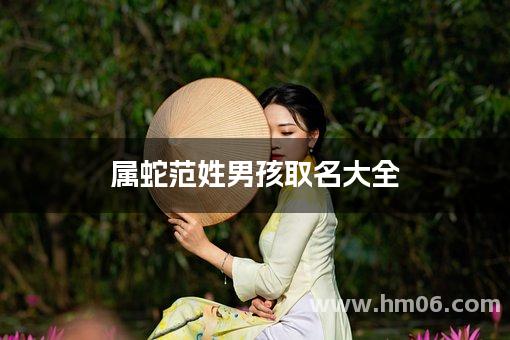 属蛇范姓男孩取名大全
