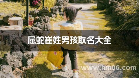 属蛇崔姓男孩取名大全
