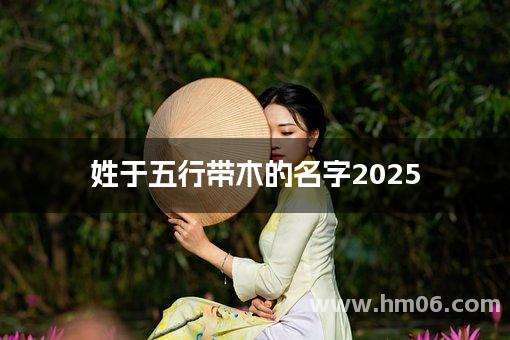 姓于五行带木的名字2025