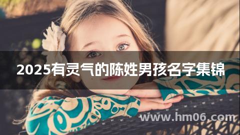 2025有灵气的陈姓男孩名字集锦