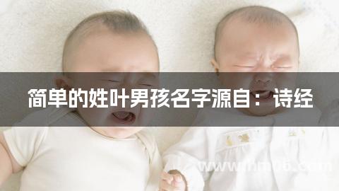 简单的姓叶男孩名字源自：诗经