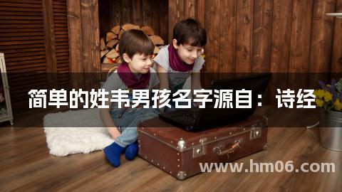 简单的姓韦男孩名字源自：诗经