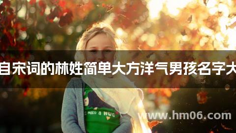 出自宋词的林姓简单大方洋气男孩名字大全
