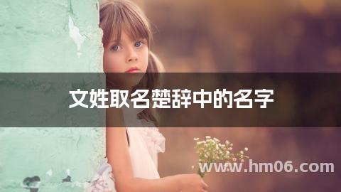 文姓取名楚辞中的名字