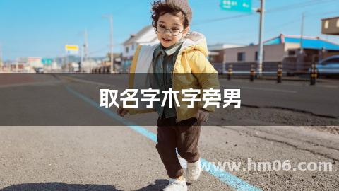 取名字木字旁男