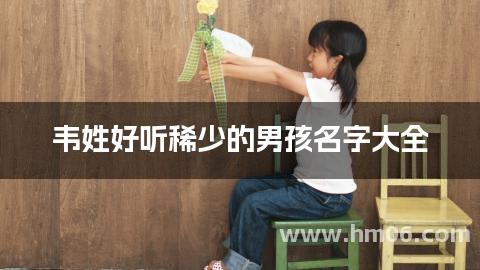 韦姓好听稀少的男孩名字大全