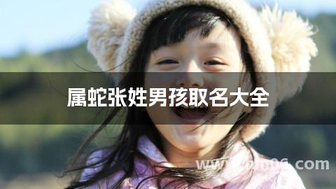 属蛇张姓男孩取名大全