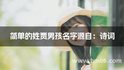 简单的姓贾男孩名字源自：诗词