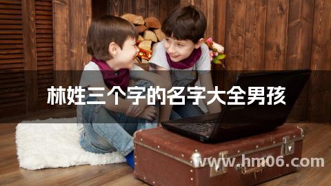 林姓三个字的名字大全男孩