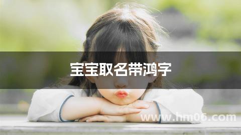宝宝取名带鸿字