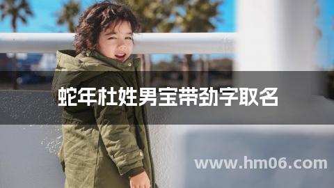蛇年杜姓男宝带劲字取名