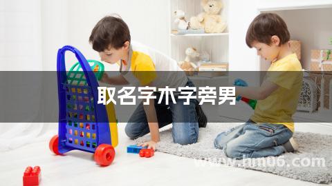 取名字木字旁男