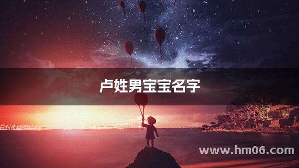 卢姓男宝宝名字