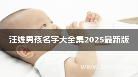 汪姓男孩名字大全集2025最新版