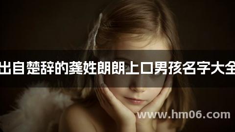 出自楚辞的龚姓朗朗上口男孩名字大全