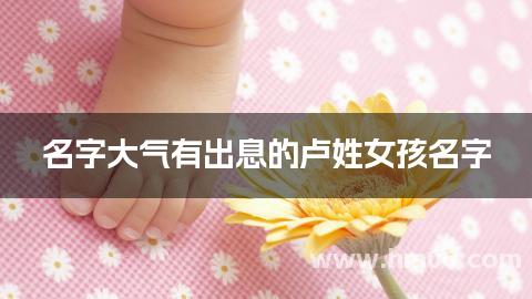 名字大气有出息的卢姓女孩名字