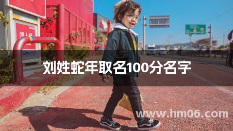 刘姓蛇年取名100分名字