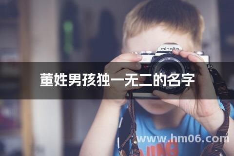 董姓男孩独一无二的名字