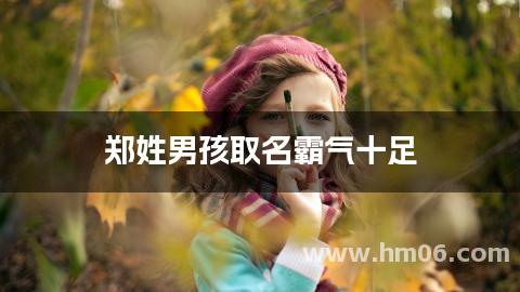 郑姓男孩取名霸气十足