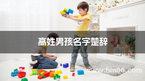高姓男孩名字楚辞