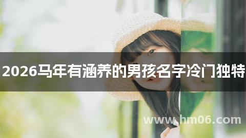 2026马年有涵养的男孩名字冷门独特
