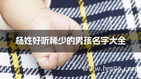 杨姓好听稀少的男孩名字大全