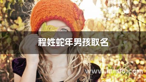 程姓蛇年男孩取名