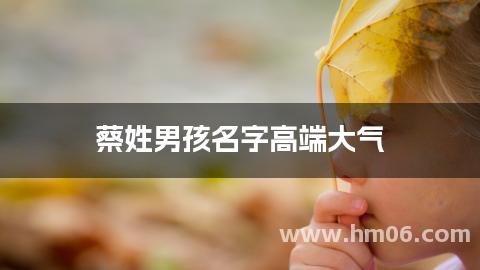 蔡姓男孩名字高端大气