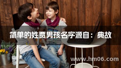 简单的姓贾男孩名字源自：典故