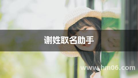 谢姓取名助手