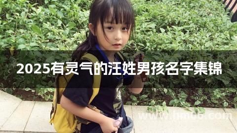 2025有灵气的汪姓男孩名字集锦