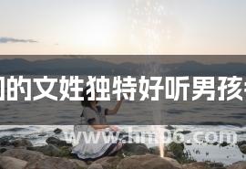 出自诗词的文姓独特好听男孩名字大全